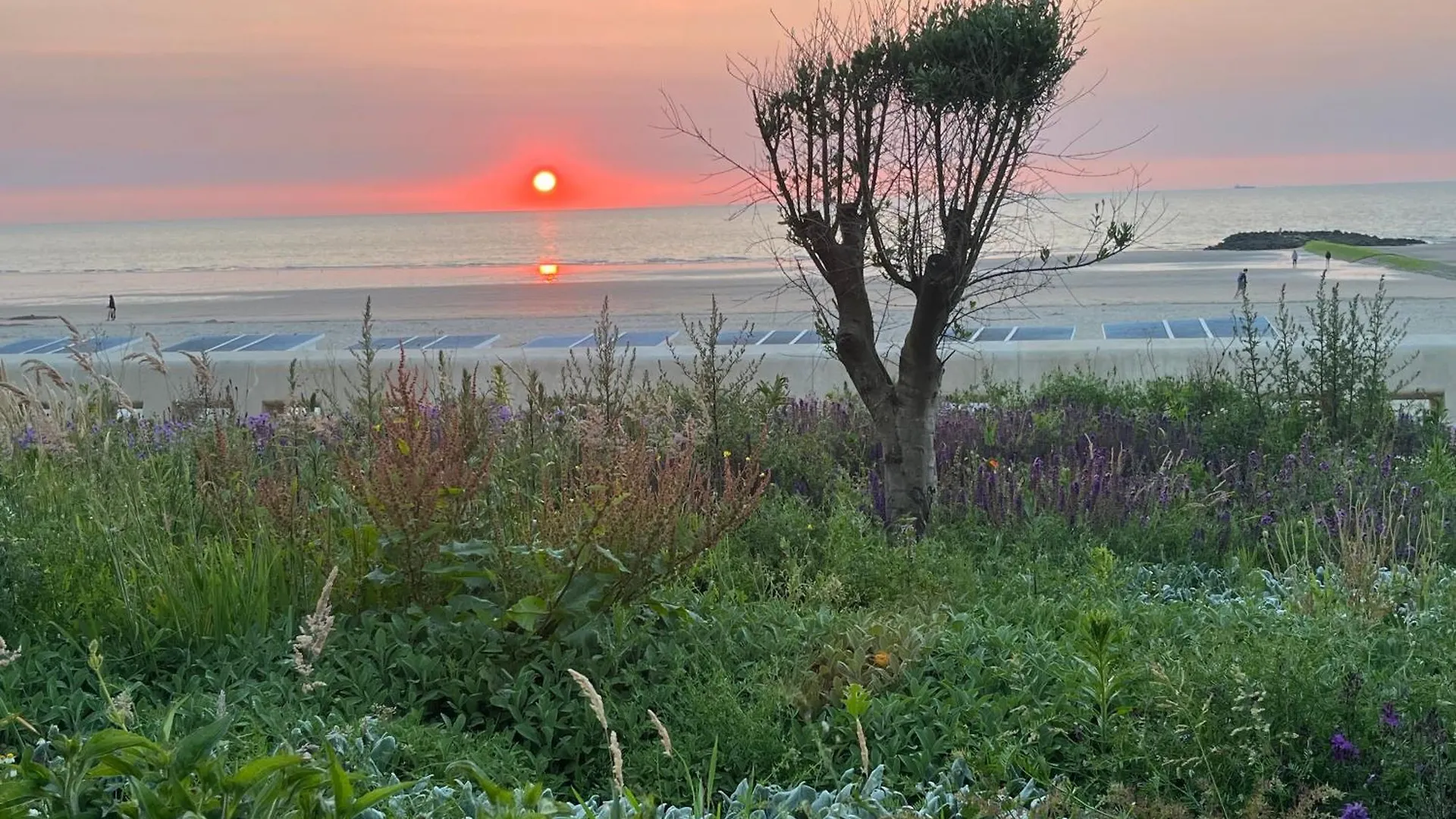 Digue De Westende, Studio Avec Coin Nuit, Piscine, Vue Mer Et Plage Fantastique Middelkerke Belgium