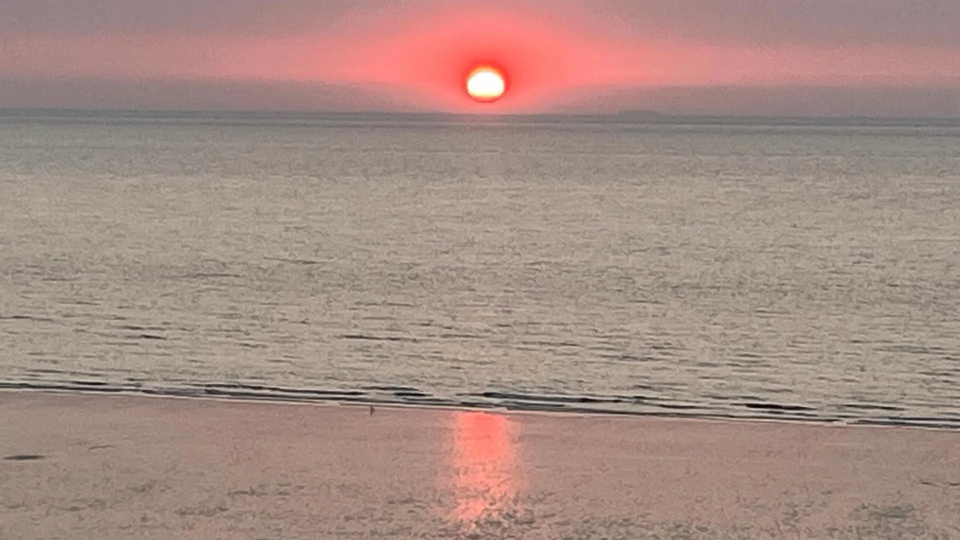 Digue De Westende, Studio Avec Coin Nuit, Piscine, Vue Mer Et Plage Fantastique Middelkerke 0*,  Belgium